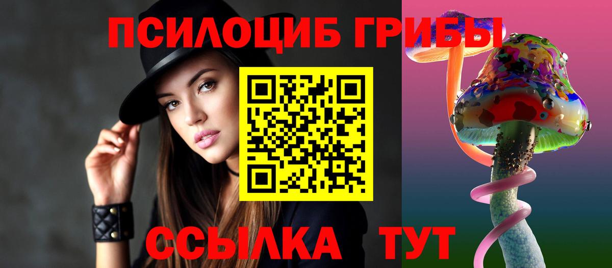 Орск  Псилоцибиновые грибы Psilocybe  Вход с VPN 