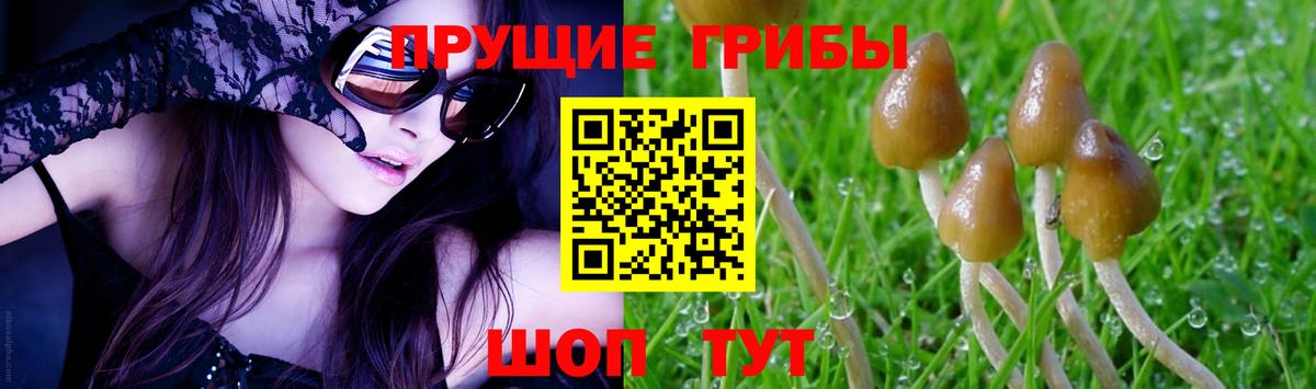Псилоцибиновые грибы GOLDEN TEACHER Орск